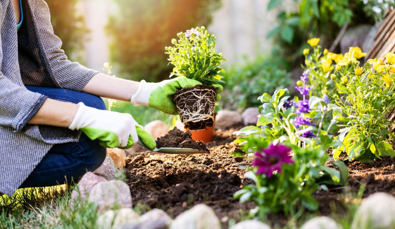 Qf Gardening Reduced 1770217441